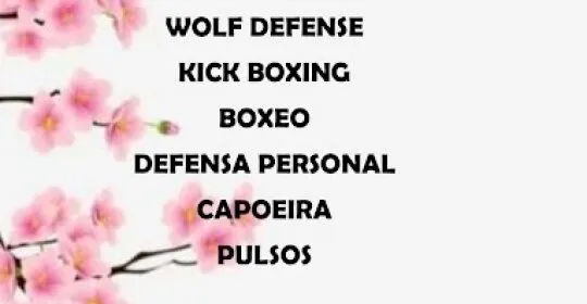 Gimnasio Almozara en Zaragoza