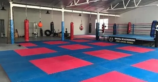 Escuela De Kickboxing Jose Angel Gomez en Salamanca