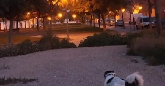 La Tómbola Alicante en Alicante