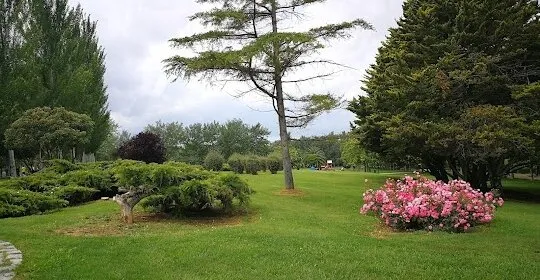 Centro Deportivo Municipal Oliver en Zaragoza