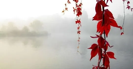 Espacio Shantala en Sanlúcar de Barrameda