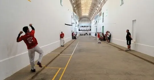 Borboto Trinquete en Valencia