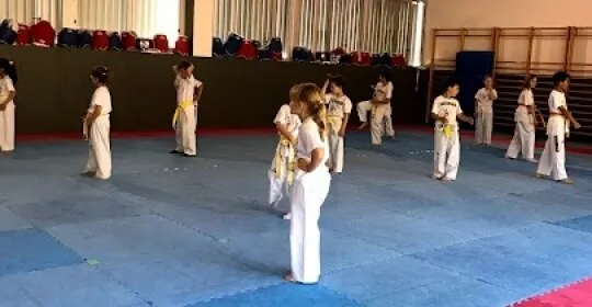 Club Taekwondo Castellet en Sant Vicenç de Castellet