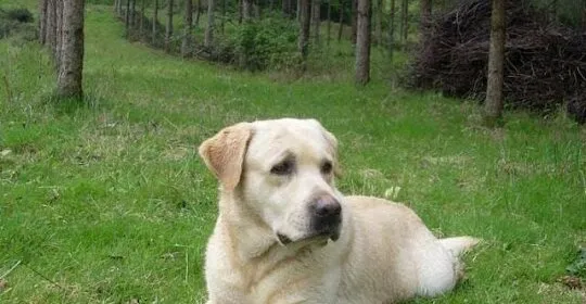 Soluna Pilates - Ciudad naranco en Oviedo