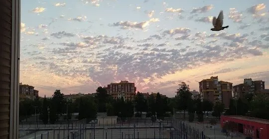 Centro Deportivo Bami en Sevilla