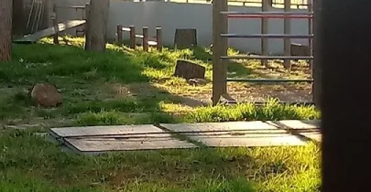 Barras calistenia gimnasio en Almàssera