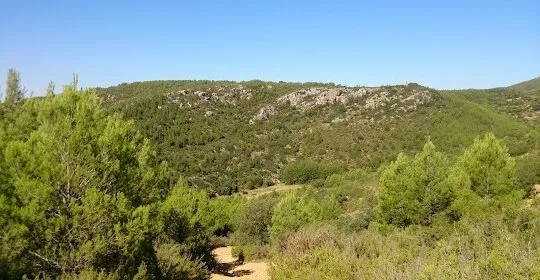 Torre Del Moro en Siete Aguas