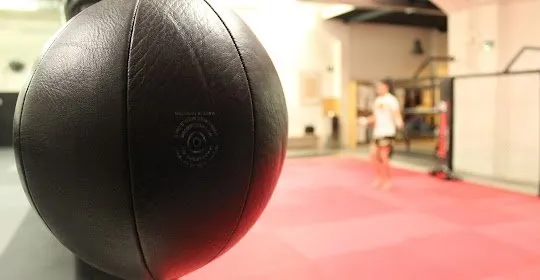 Killer Bees Muay Thai College Madrid en Madrid