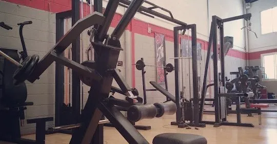 Olimpo Ngr Gym en Rincón de la Victoria
