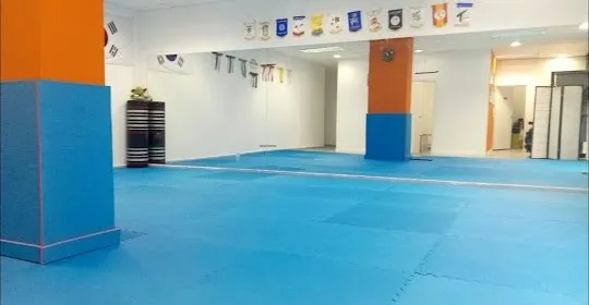 Dao Kwon Arts Marcials en Barcelona