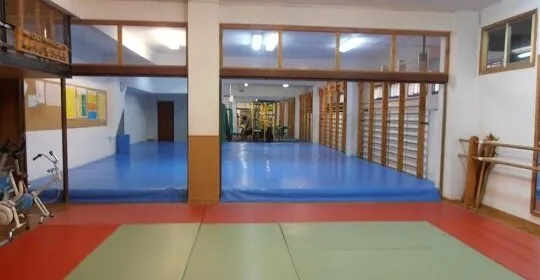 Aikido, Club Zuhaizti en Donostia / San Sebastián