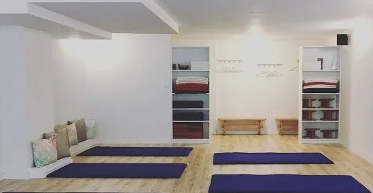 ELEVAYOGA Centro de Yoga y Meditación en Donostia / San Sebastián