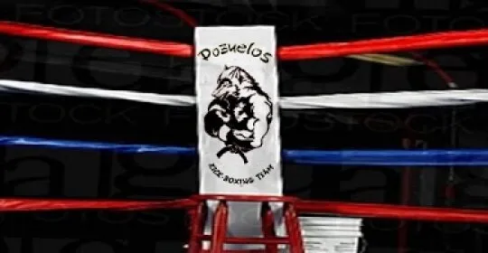 Club Deportivo Pozuelos Kick Boxing Team en Granada