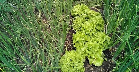 Gimnasio Club Arcade en Sanxenxo