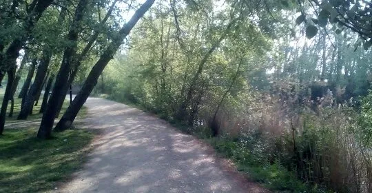 Funky Fusion Zumba en Zamora