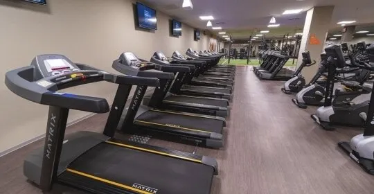 VivaGym Bilbondo en Bilbao