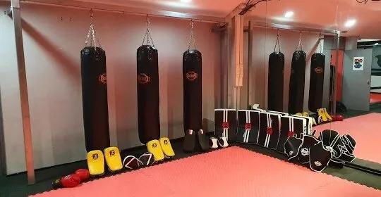 Gym Shark en Terrassa