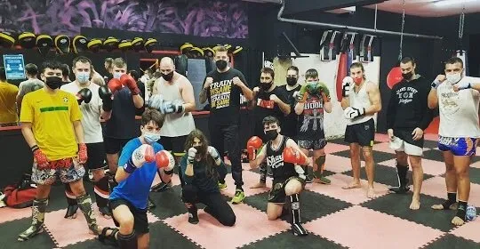 69 Monos en Cornellá de Llobregat