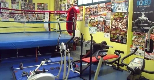 Gimnasio Paco Bueno Udal Ginasiolekua en Errenteria