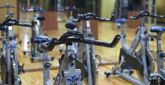 Gimnasio Dino en Málaga