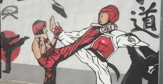 Kim-Il en Zaragoza