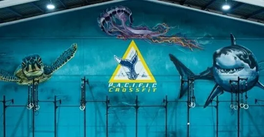 Pacific whale CROSSFIT en Pilar de la Horadada