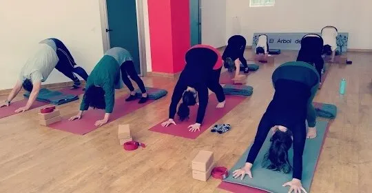 El Árbol del Yoga en Lena