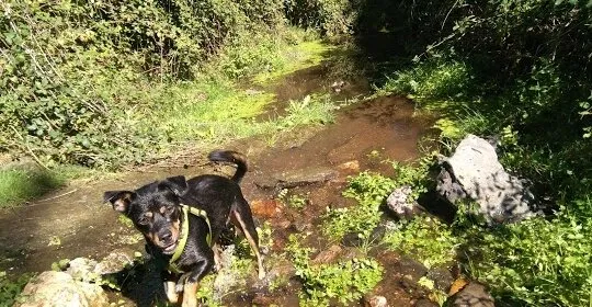 Area Recreativa Mariamateo en Aracena