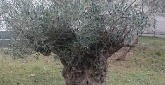 Polideportivo Matamorosa en Reinosa