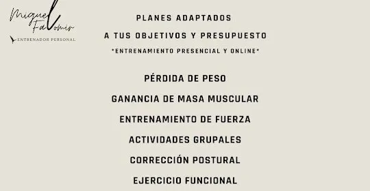 Miguel Falomir Entrenador Personal en Castellón de la Plana