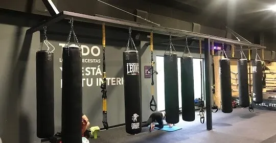 The Boxer Club San Agustín en Gijón