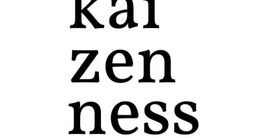 KAIZENNESS en Lleida