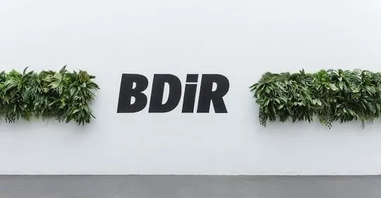 BDiR Mallorca - gimnasio en Barcelona