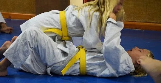 Gimnàs Judo Tao - gimnasio en Esplugues de Llobregat