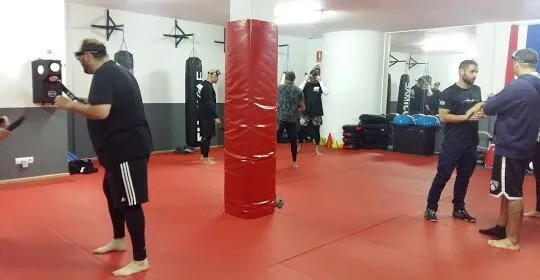 Gim en Ibiza