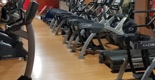 Palestra Fitness Center - gimnasio en Linares