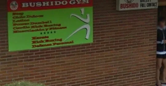 Bushido Gym - gimnasio en Torrelavega